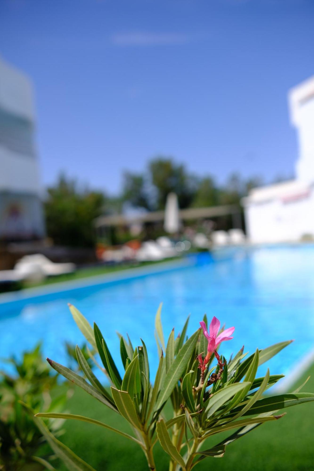 Viking Club Hotel Шарм-эль-Шейх Экстерьер фото